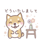 ★敬語★柴犬しばちゃん（個別スタンプ：12）