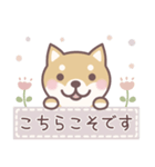 ★敬語★柴犬しばちゃん（個別スタンプ：13）