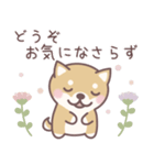 ★敬語★柴犬しばちゃん（個別スタンプ：14）
