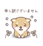★敬語★柴犬しばちゃん（個別スタンプ：17）