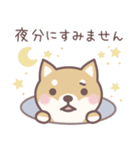 ★敬語★柴犬しばちゃん（個別スタンプ：19）