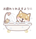 ★敬語★柴犬しばちゃん（個別スタンプ：24）