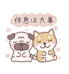 ★敬語★柴犬しばちゃん（個別スタンプ：25）