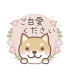 ★敬語★柴犬しばちゃん（個別スタンプ：26）