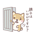 ★敬語★柴犬しばちゃん（個別スタンプ：29）
