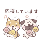 ★敬語★柴犬しばちゃん（個別スタンプ：31）