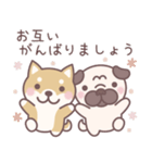 ★敬語★柴犬しばちゃん（個別スタンプ：32）