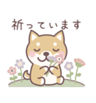 ★敬語★柴犬しばちゃん（個別スタンプ：33）