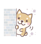 ★敬語★柴犬しばちゃん（個別スタンプ：34）