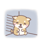 ★敬語★柴犬しばちゃん（個別スタンプ：40）
