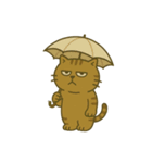 キジトラ課長 4（個別スタンプ：6）