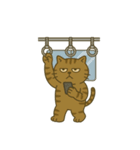 キジトラ課長 3（個別スタンプ：8）