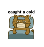 キジトラ課長 3（個別スタンプ：14）