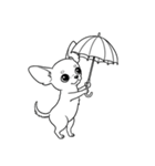 シュールでかわいいチワワのスタンプ（個別スタンプ：18）