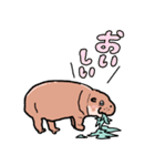 コビトカバさんのスタンプ（個別スタンプ：18）