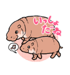 コビトカバさんのスタンプ（個別スタンプ：27）