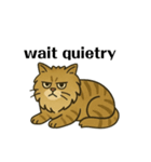 Japanese lion cat（個別スタンプ：5）