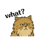 Japanese lion cat（個別スタンプ：9）