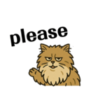 Japanese lion cat（個別スタンプ：15）