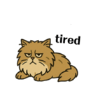 Japanese lion cat（個別スタンプ：16）