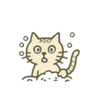 ねこどな（個別スタンプ：19）