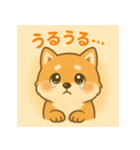 しばちゃんのやさしいスタンプ（個別スタンプ：5）