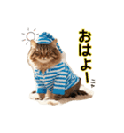 毎日のふわふわ子猫【日常・かわいい】（個別スタンプ：1）