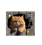 毎日のふわふわ子猫【日常・かわいい】（個別スタンプ：2）