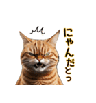 毎日のふわふわ子猫【日常・かわいい】（個別スタンプ：10）