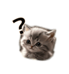 毎日のふわふわ子猫【日常・かわいい】（個別スタンプ：14）