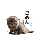 毎日のふわふわ子猫【日常・かわいい】（個別スタンプ：16）