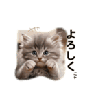 毎日のふわふわ子猫【日常・かわいい】（個別スタンプ：17）