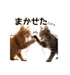 毎日のふわふわ子猫【日常・かわいい】（個別スタンプ：23）