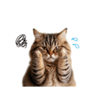 毎日のふわふわ子猫【日常・かわいい】（個別スタンプ：24）