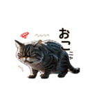 毎日のふわふわ子猫【日常・かわいい】（個別スタンプ：26）