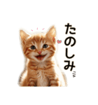 毎日のふわふわ子猫【日常・かわいい】（個別スタンプ：28）