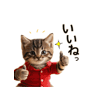 毎日のふわふわ子猫【日常・かわいい】（個別スタンプ：29）