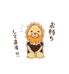 腰の低いライオン（個別スタンプ：12）