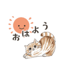 動く！エキゾチックショートヘア（個別スタンプ：1）