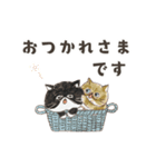 動く！エキゾチックショートヘア（個別スタンプ：3）