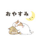動く！エキゾチックショートヘア（個別スタンプ：4）