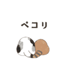 動く！エキゾチックショートヘア（個別スタンプ：5）