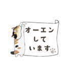 動く！エキゾチックショートヘア（個別スタンプ：9）