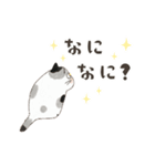 動く！エキゾチックショートヘア（個別スタンプ：11）
