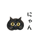 動く！エキゾチックショートヘア（個別スタンプ：14）