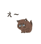 動く！エキゾチックショートヘア（個別スタンプ：18）