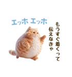エッホエッホ 毎日使える！まん丸猫（個別スタンプ：1）