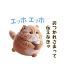 エッホエッホ 毎日使える！まん丸猫（個別スタンプ：3）