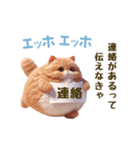 エッホエッホ 毎日使える！まん丸猫（個別スタンプ：4）