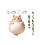エッホエッホ 毎日使える！まん丸猫（個別スタンプ：5）